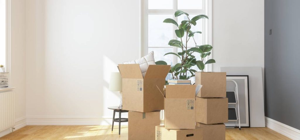 Storage and Packing Tips for Homeowners